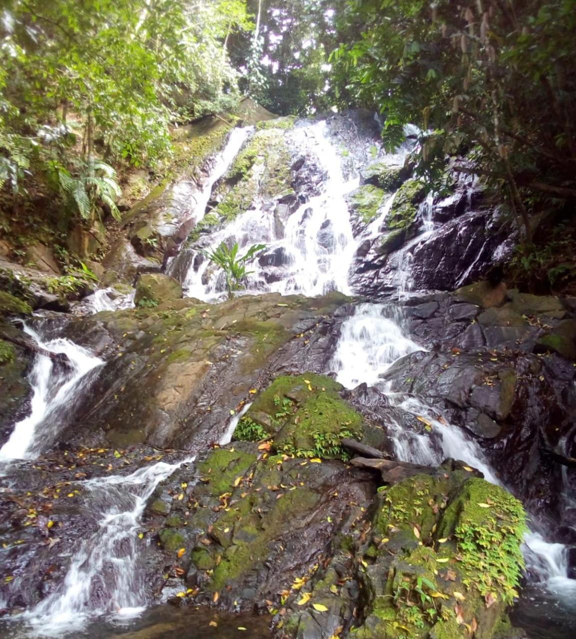 Finca La Puesta Del Sol - Miramar De Sierpe Εξωτερικό φωτογραφία